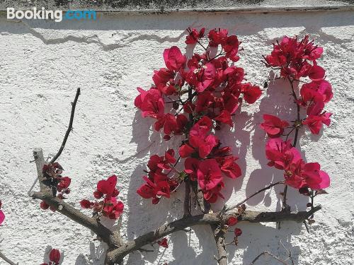 Baby friendly apartment in Ostuni for groups.