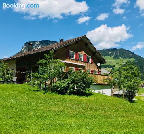 Au im Bregenzerwald est votre! Terrasse et Wifi!