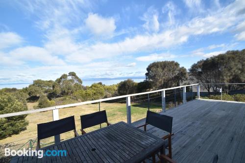 3-zimmer-apt in Coles Bay. Terrasse!.