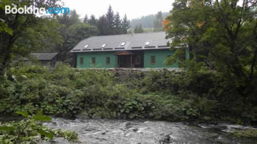 Loučná nad Desnou est votre. Terrasse!