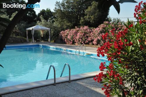 Appartement avec terrasse. Roccatederighi à vos pieds!.