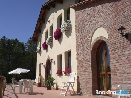 Swimming pool and internet place in San Miniato with terrace