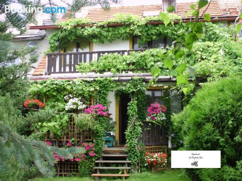 Home in Jelenia Góra. Terrace!