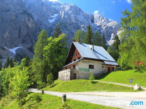 Minime appartement. Kranjska Gora est votre