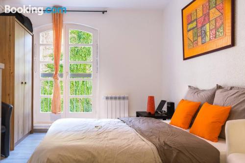 Stupendo appartamento con 1 camera da letto, a Colmar