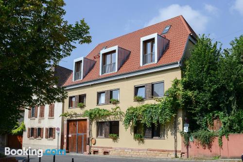 Wohnung mit Terrasse und Internet. Geräumige