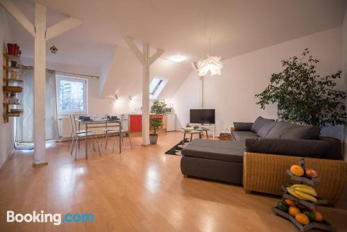 2 room apartment with terrace