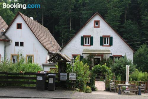 Place in Bad Bergzabern with internet