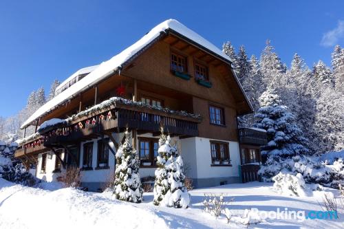 Wohnung mit Terrasse. In Hinterzarten