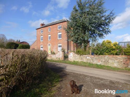 Apartamento en Ledbury con wifi