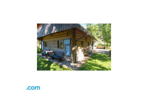 Apartment with wifi in Bohinjska Bela.