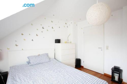 Appartement de 40m2 à Braunschweig. Chauffage et Internet