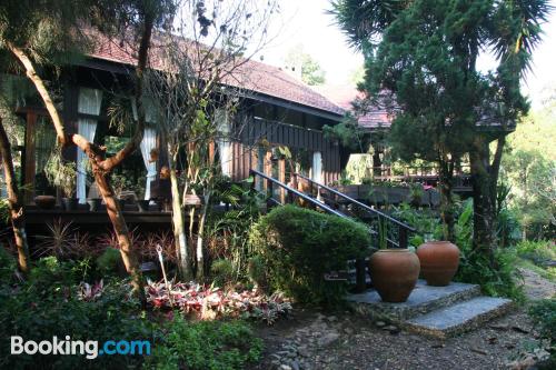 Apartamento cães bem-vindos à Chiang Rai. Terraço!.