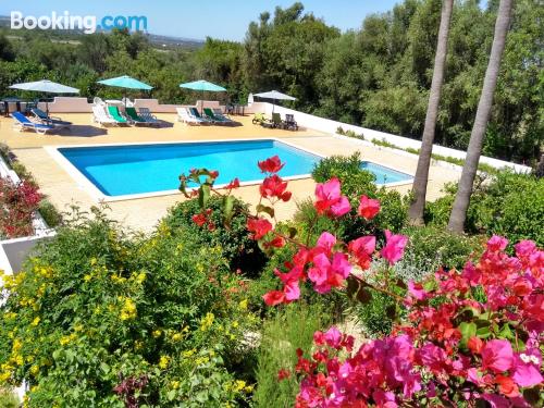 Gezellig appartement in São Bartolomeu de Messines. Zwembad en terras