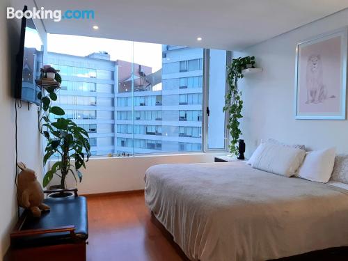 One bedroom apartment home in Mexico City with terrace and internet.