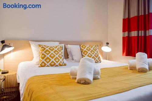 Pet friendly apartment in Lille. For couples