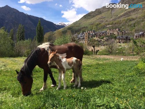 Práctico apartamento en Taull con internet