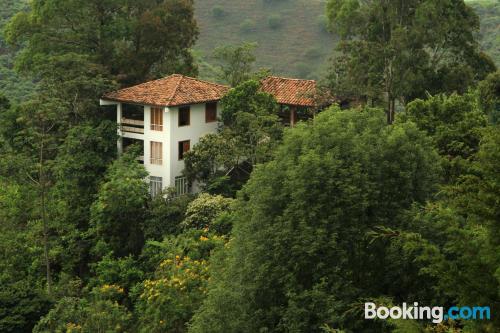 Apartamento com terraço. Cães bem-vindos!