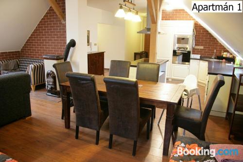 1 bedroom apartment in Horní Planá. For two people