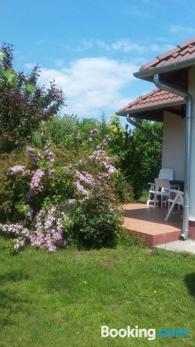 Zona centro y terraza en Cserkeszőlő. Apto para mascotas