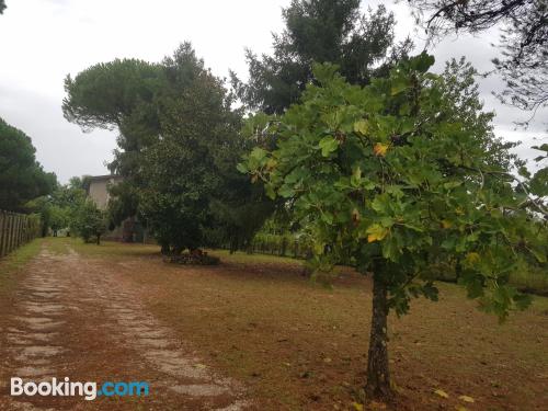 Estúdio no melhor endereço em San Cesareo.