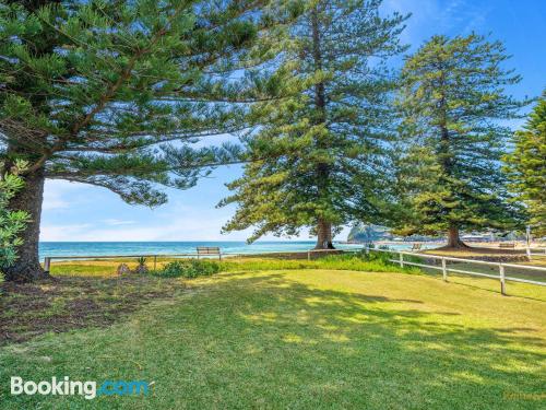 Apartamento com internet em Avoca Beach.