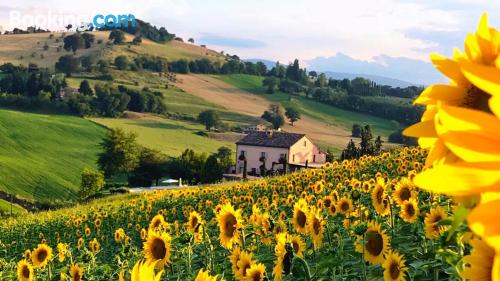 Appartamento per le famiglie. Terrazza e Internet