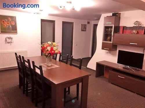 Apartment for couples in Buşteni with wifi.