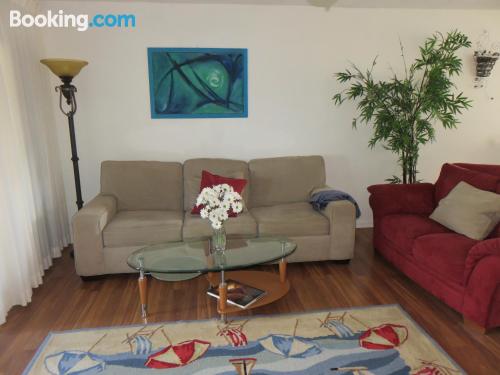 Apartamento en Palm Harbor con vistas