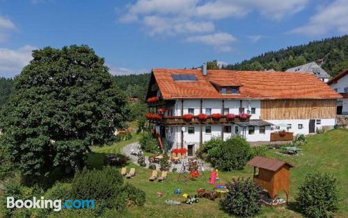 Apartamento com terraço em Neuschönau