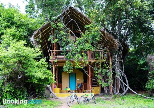 Place with internet in Sigiriya.