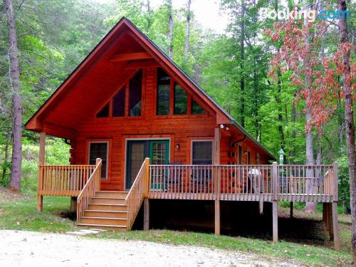 Lake Lure aan zijn voeten! Ruim appartement