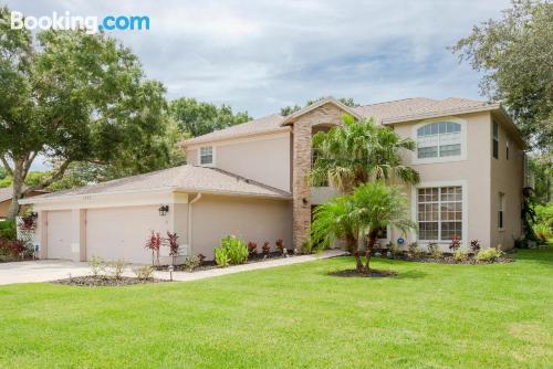 Appartement à Palm Harbor, idéal pour les groupes.