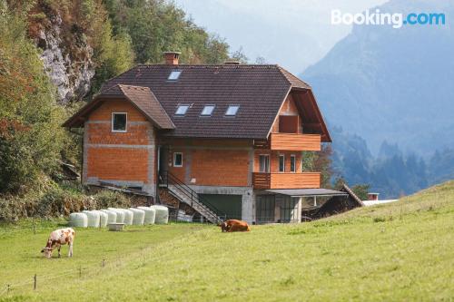 Apartamento com aquecimento e Internet em Bohinjska Bela