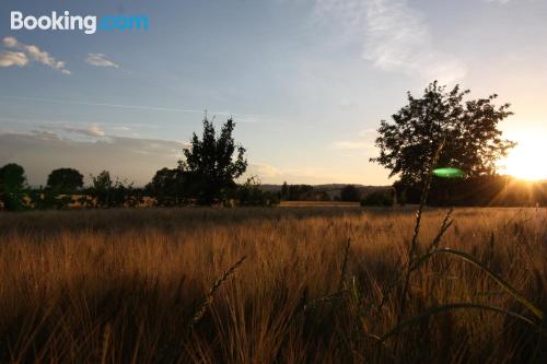 Comodo appartamento con 2 stanze, a Monterado