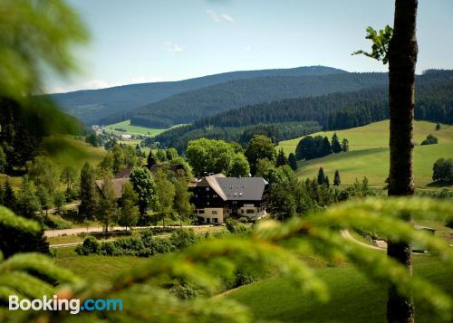 Place with terrace in Titisee-Neustadt.