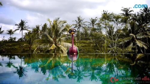 Home in Ubud with terrace and swimming pool