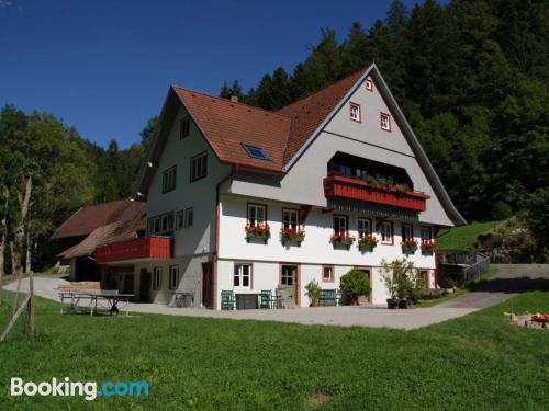 Appartement avec terrasse à Schenkenzell.