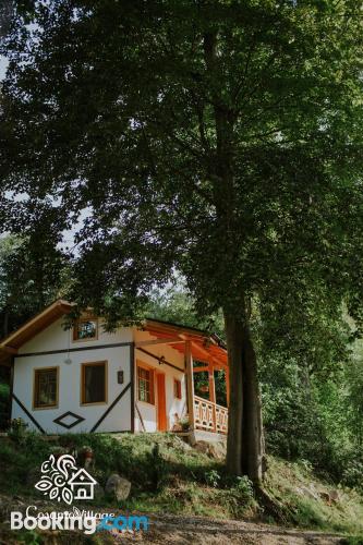 Ferienwohnung mit balkon. Zentrale!.