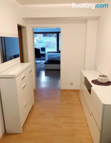 Apartamento cães bem-vindos à Dusseldorf. Perfeito!.