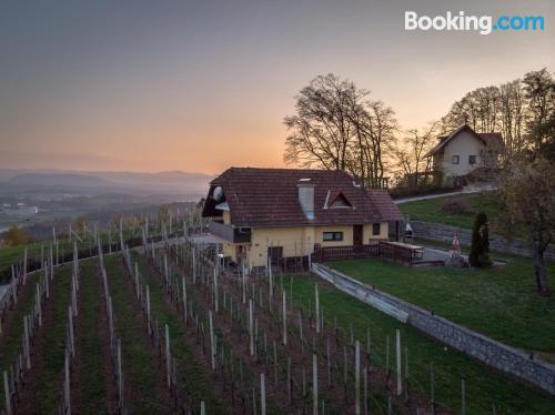 Grand appartement avec deux chambres. Terrasse et wifi!.