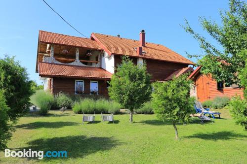 Trois chambres appartement à Rakovica. Internet!.