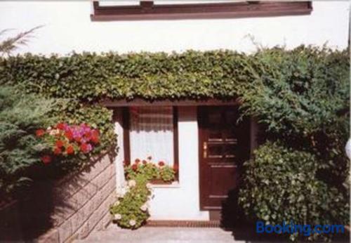 30m2 Apt. In Ribnitz-Damgarten