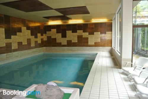 Dog friendly apartment in Emmetten with pool.