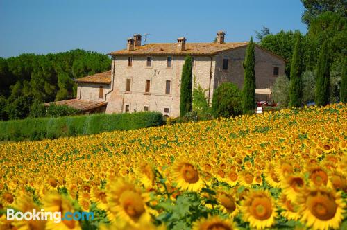 Appartement avec piscine. À San Terenziano