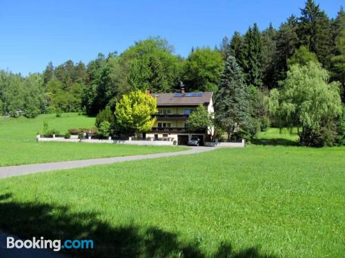 Wohnung mit Terrasse. Haustier erlaubt