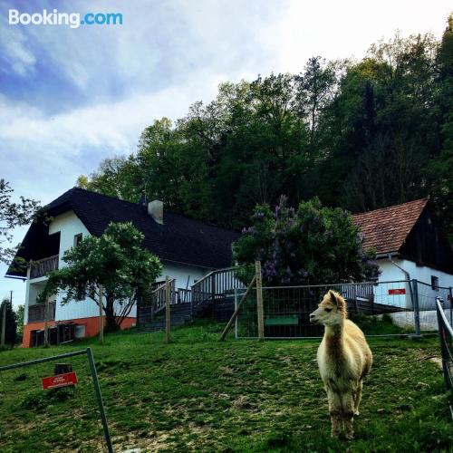 Ferienwohnung mit terrasse. Tierfreundlich.