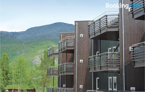 Apartamento con conexión a internet en Hemsedal