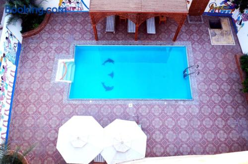 Dog friendly 1 bedroom apartment in Luxor.