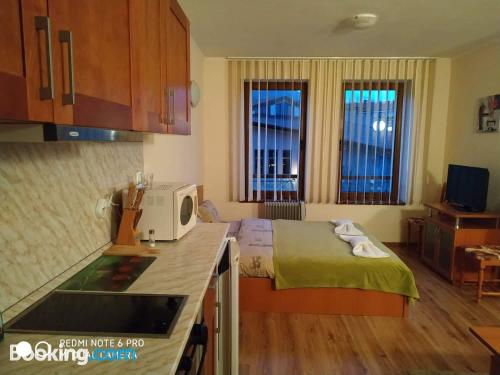 Apartamento cães bem-vindos à Bansko. Ideal!.